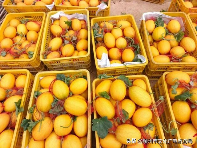 什么样的快乐几块钱就能买到？答案就在圩日里