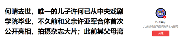 何晴离世3天，才发现她与许亚军儿子名字暗藏深意	，字字都有来头