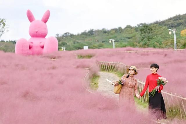 这是日照哪里？这么美！他们，她们，它们都来了！