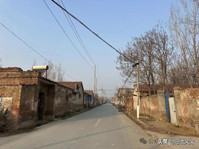 冠县乡韵·清水镇后井寨村