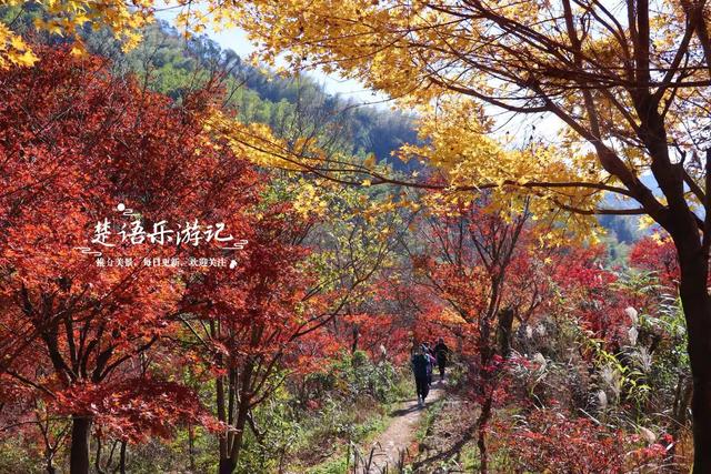 浙江宁波这两条古道堪称黄金组合，景色比油画还要美，游玩正当时