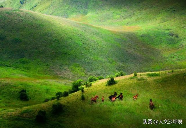气温“狂飙”？！来21℃的重庆“北极”纳凉