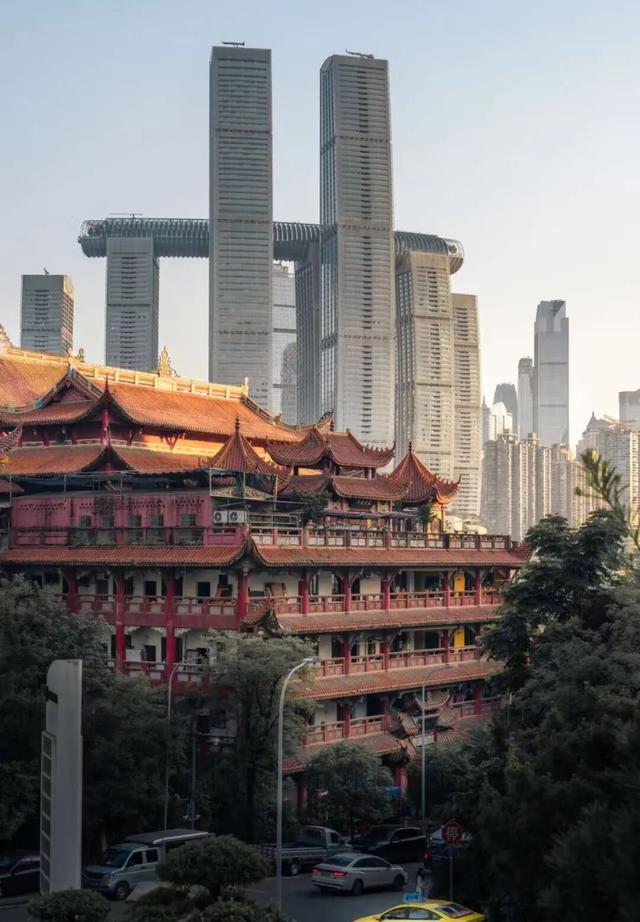 240小时入境游 | 全球旅客接踵而至，新年畅游南岸