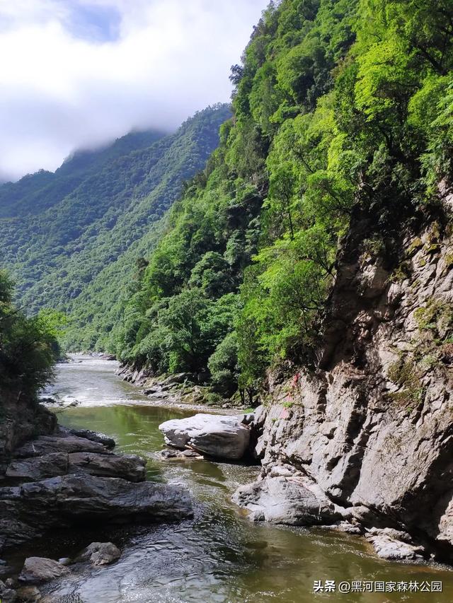 云海翻涌,薄雾缭绕,在黑河山间邂逅“山林仙境”