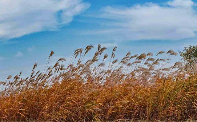 邂逅初冬！漫步郑州，在色彩斑斓中行走