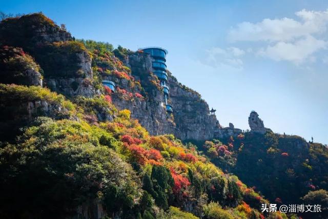 🤏捡捡捡，淄博惊现“捡秋”大神！海岱楼、周村大街…全被捡出来了→
