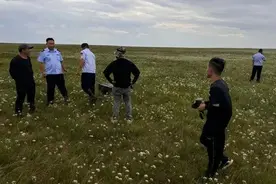 非法采摘沙葱、韭菜花、野蘑菇！内蒙古多人被查处！ 律师：任何单位和个人都有保护草原的义务！图片