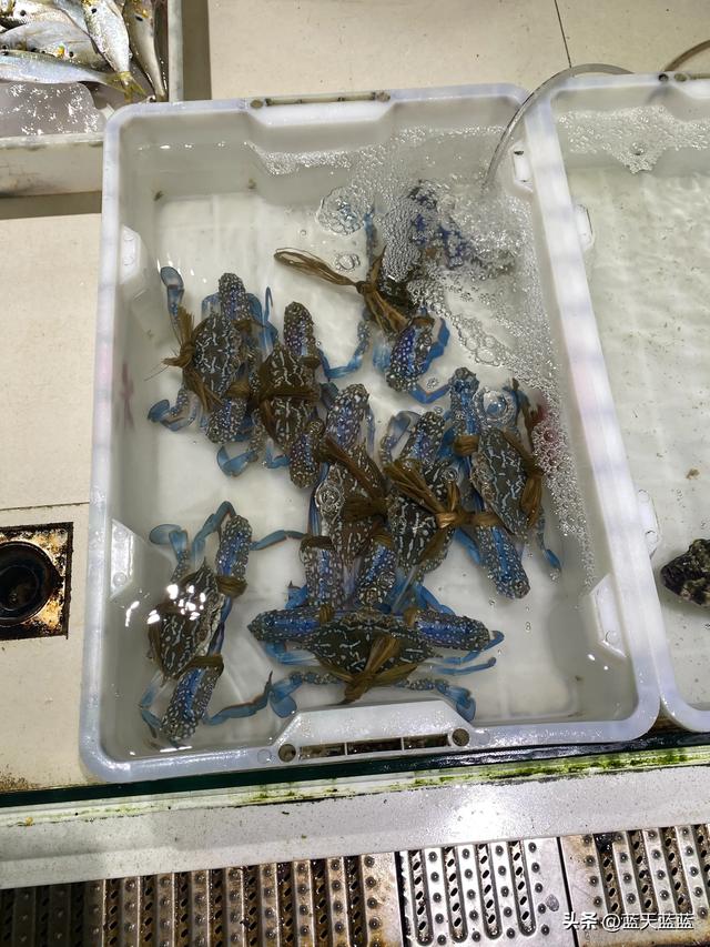 全国自驾游之广西万尾金滩篇