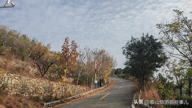 泰安：城东有一个村落，藏着东部首家高端旅游度假区，养心安心