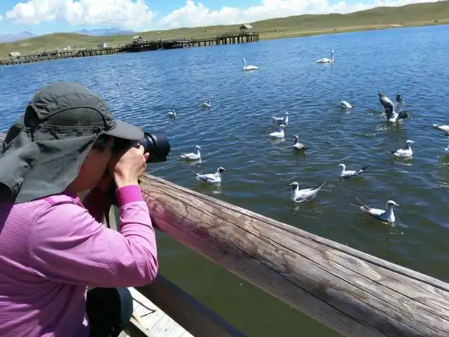 大量香港游客涌入新疆，不看景点不吃羊肉串，跑这么远是想啥？