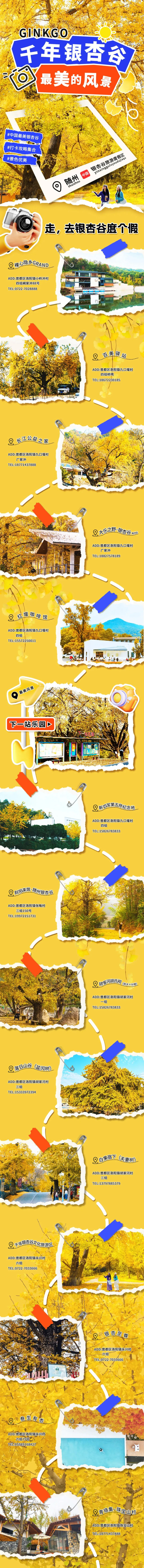 随州银杏谷旅游度假区已进入最佳观赏期，错过等一年！