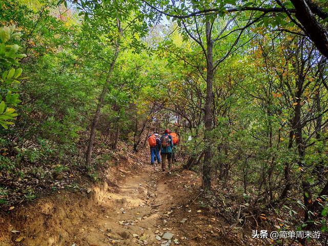 16）嵩山秋行记：27人踏秋赏红叶，从西山脊到古刹禅心