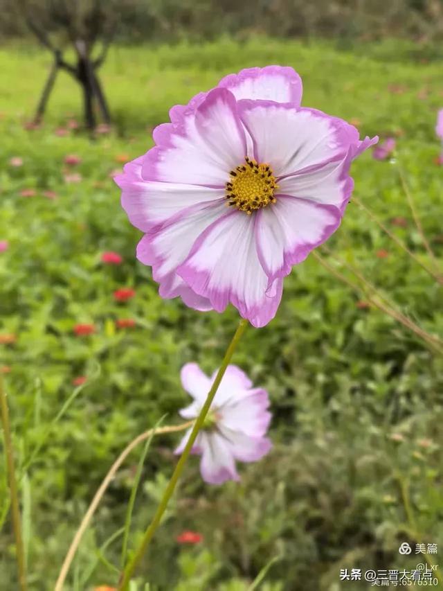 秋雨绵绵漳泽湖