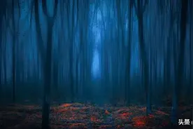 肉体是心灵的执行者图片