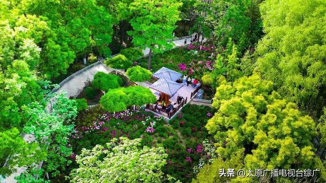 太原市万柏林区十大宝藏赏月地！看看哪里离你家最近