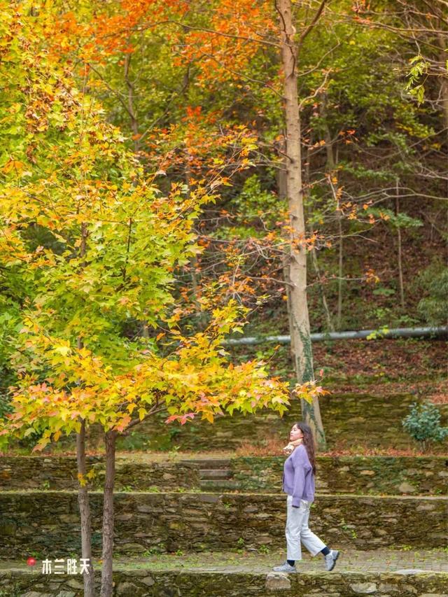 爆肝整理！黄陂登山徒步路线推荐！
