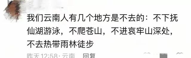 大理苍山走丢男孩夏令营机构发声，住宿的民宿发声，透露更多内幕