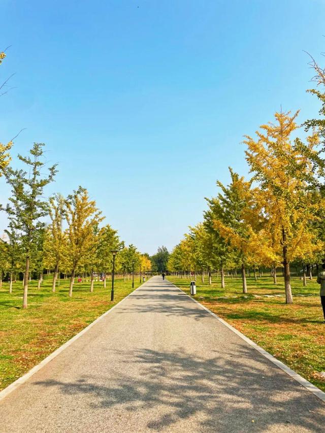 秋景如画！沈阳赏秋地图发布→