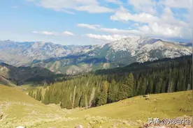 我走伊昭公路，翻越天山山脉，吓得心脏都跳到嗓子眼，美得出奇图片