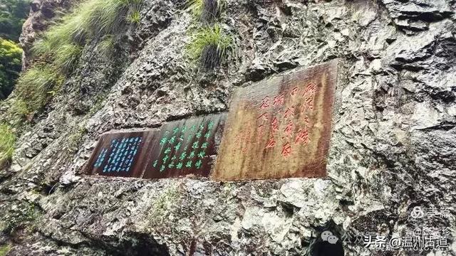 探秘雁荡三绝之一的绝美风光！来一次深度游~