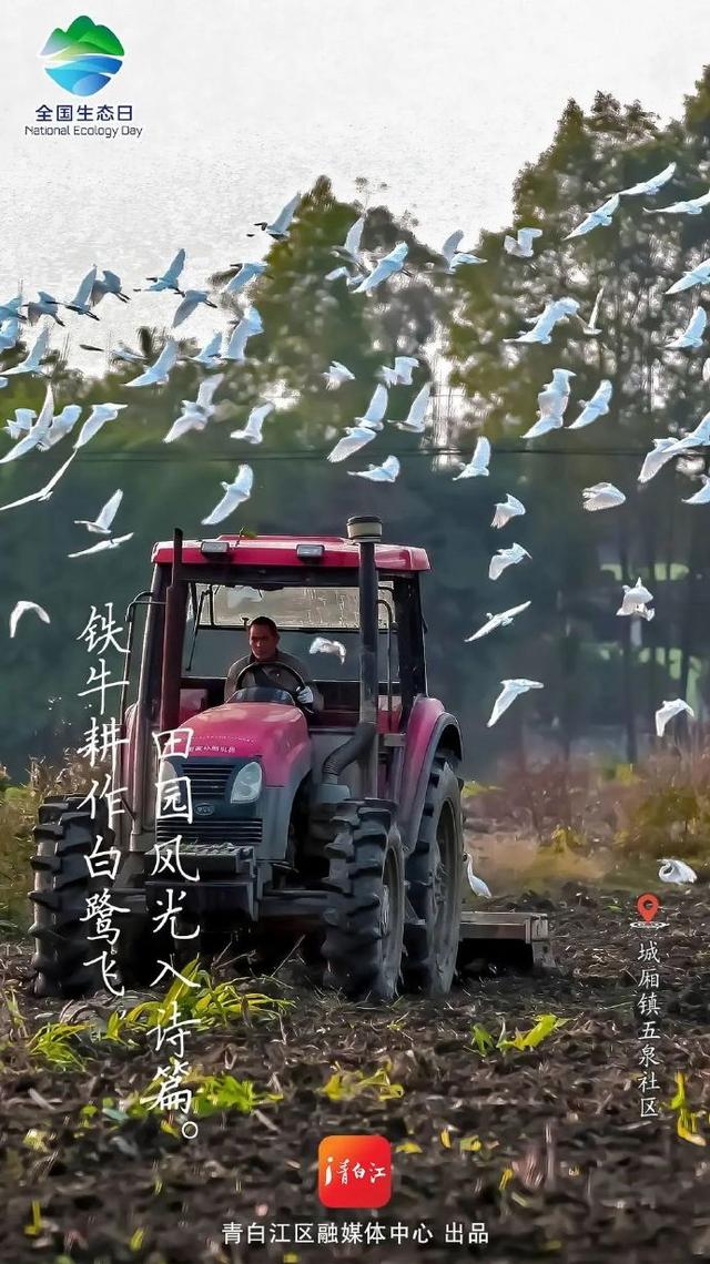 全国生态日 ，成都青白江邀你一起“森”呼吸~