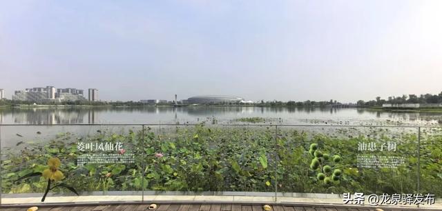 东安湖“上新”三大主题打卡点~