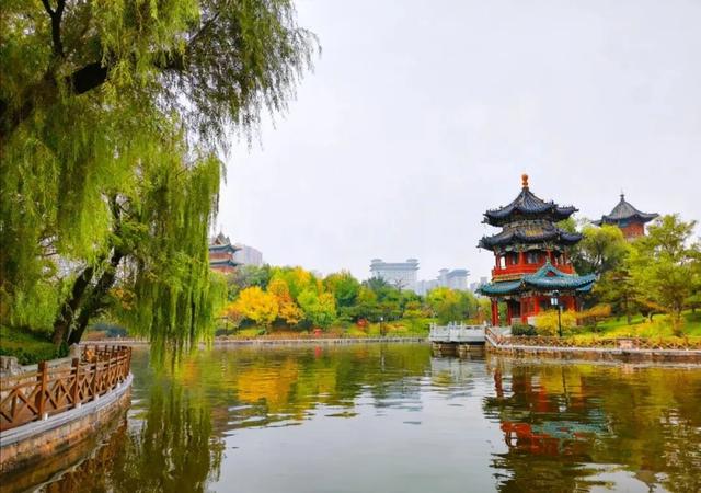 太原市迎泽区：府城漫步｜满城色彩绘就秋日画卷