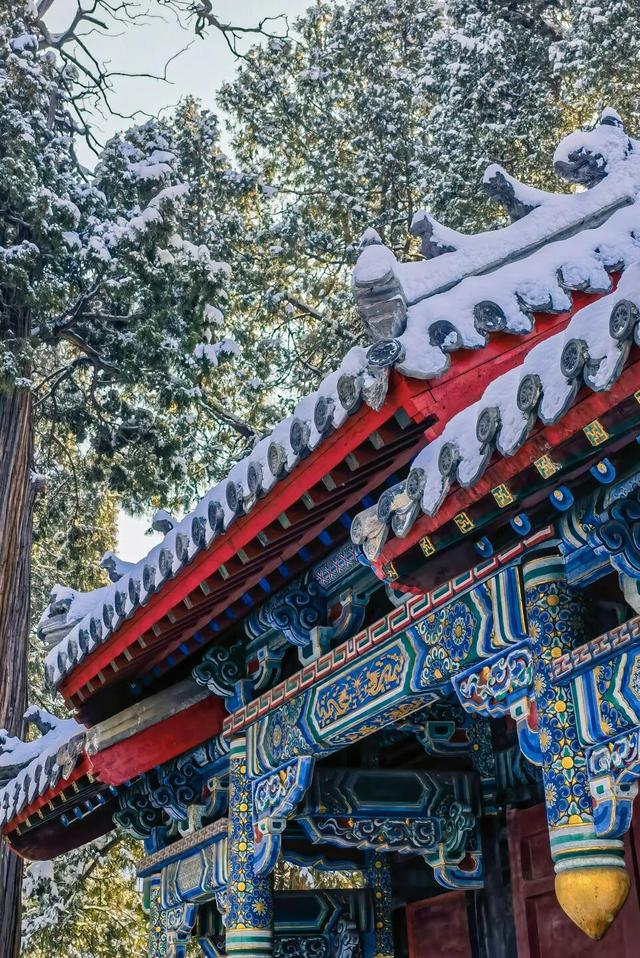 用四时好景打开曲阜三孔景区，留存每一帧中式浪漫！