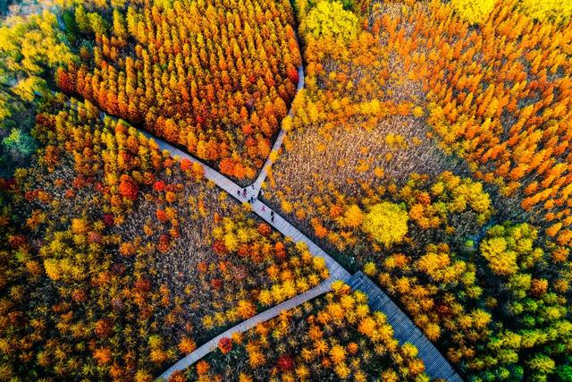 湿地、日出、星空、美食……来自这里的邀请函是否让你心动？