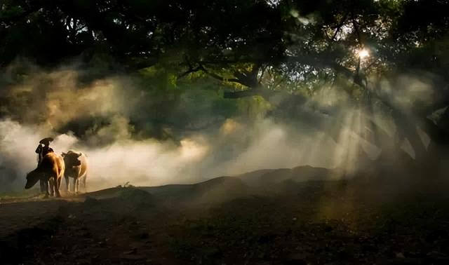 这是油画还是实景？太美太美啦！！