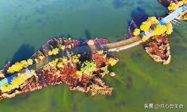 石家庄滹沱河开挂了！初冬美成油画，拍照还不要钱！