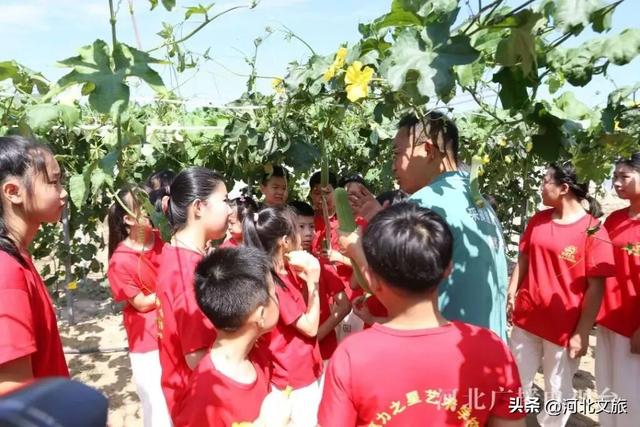 廊坊推出十大网红打卡地，你中意哪个→