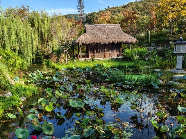 江苏旅游：从灵山胜境到拈花湾行散记（图）