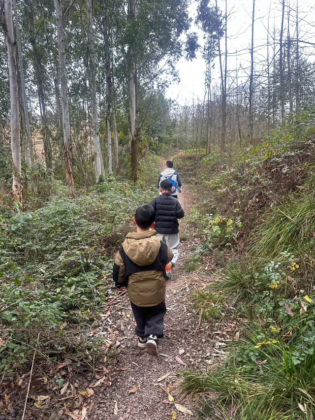 成都西门1h小众免费徒步地，野趣十足、值得N刷！