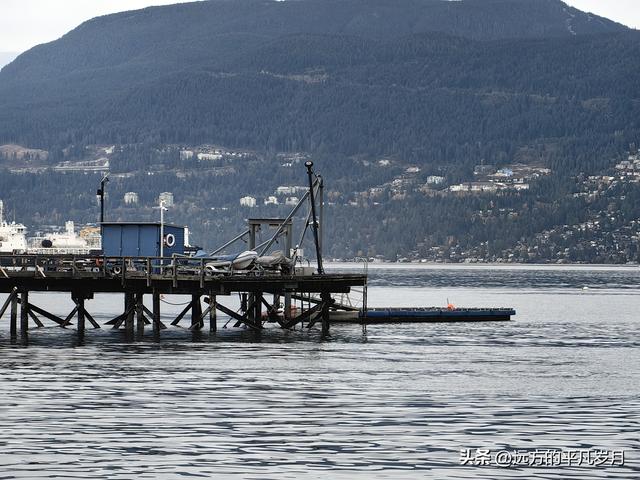 温哥华游记（五）