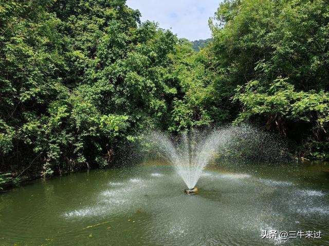 无为在歧路，贵州六日行（8）～黄果树