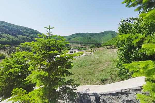 立冬下雨兆头不好？俗语“立冬下了雨，新坟遍地起”背后的真相！