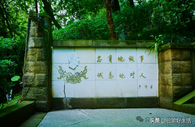 北碚公园竟是"大熊猫"命名地，原来藏着这么多秘密