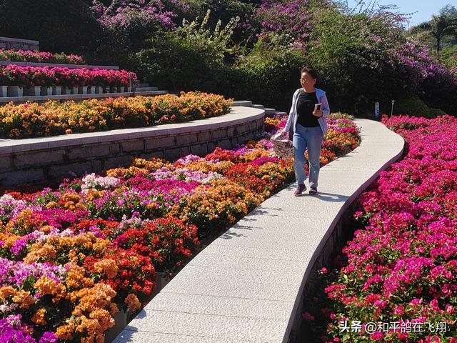 厦门植物园：邂逅自然的绮梦