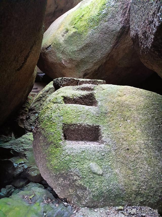 爬灵山石树感触到的（一）