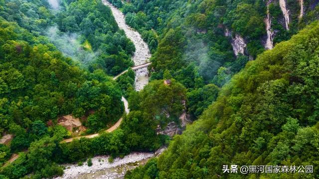 周末避暑好去处|走进绿意森呼吸,邂逅山间清凉
