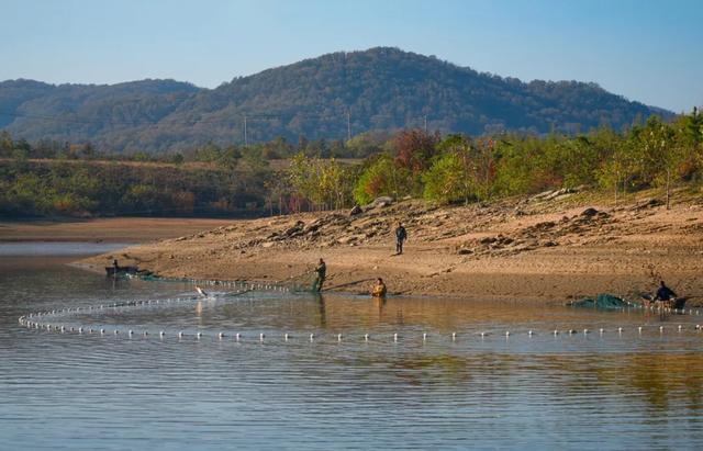 一键收藏！明光南部2025年秋景大赏