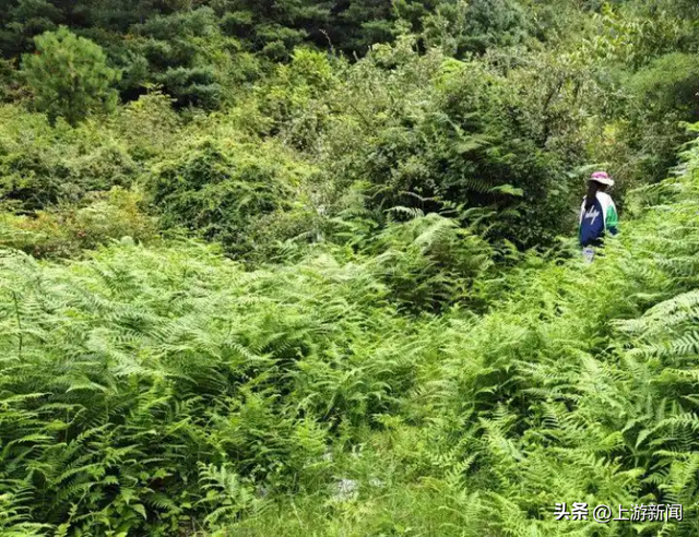 苍山自闭症男童失联超48小时