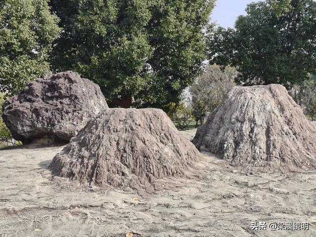 大雪时节，来汤山金乌公园晒暖阳、泡温泉（上）