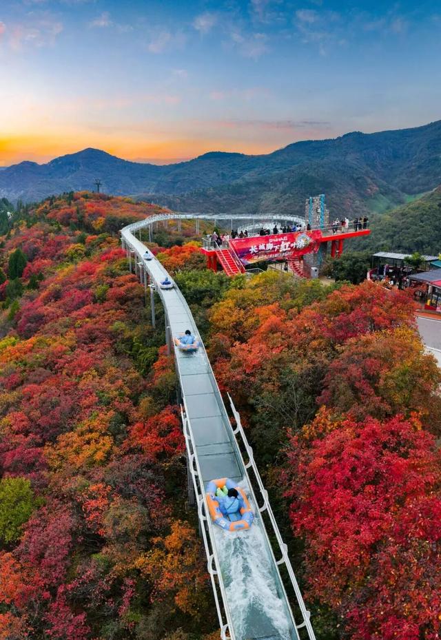 即刻出发，解锁淄博「秋日限定」模式，错过等明年！