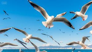 周末休闲打卡地，秦皇岛