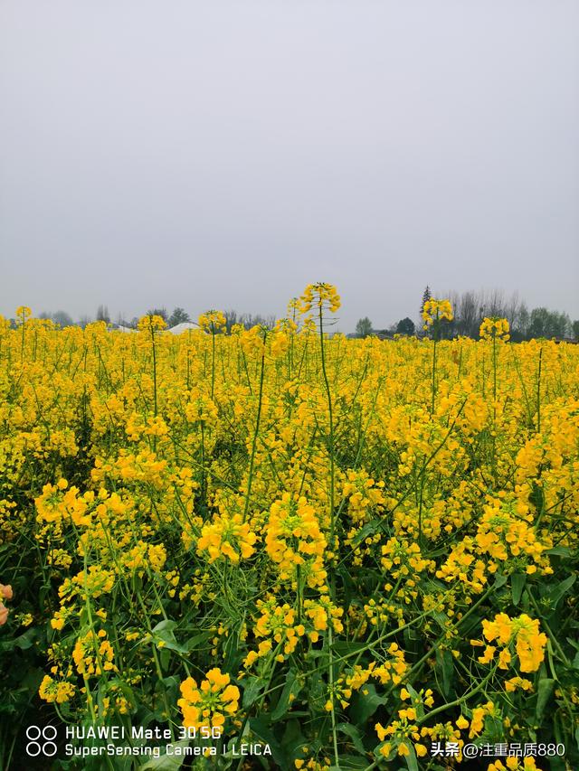 据我实际体验，冬天不宜自驾游