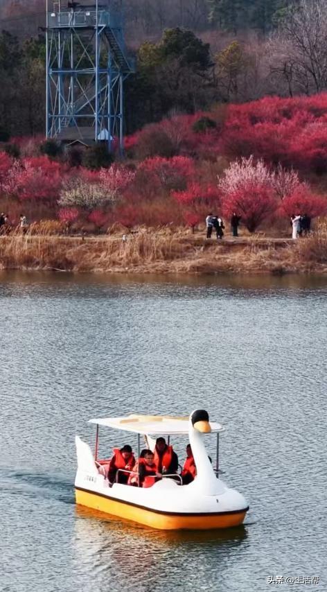 多个景区官宣：免费