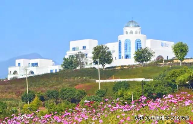 吾在米易过去冬天