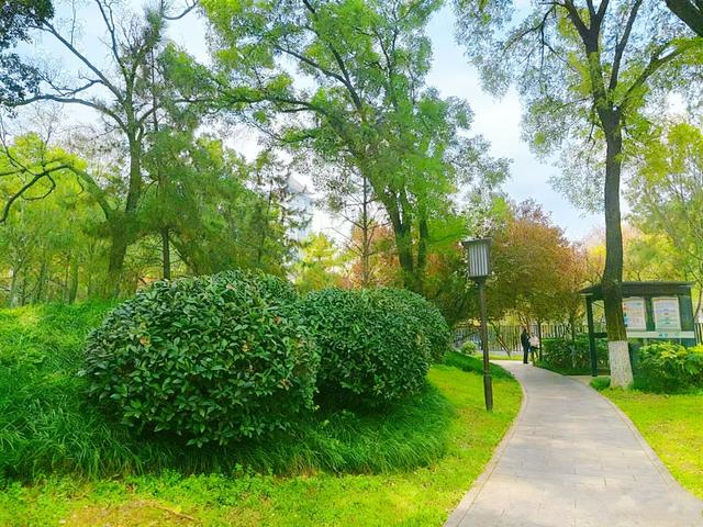 初冬限定之美——兴庆宫里的一步一景